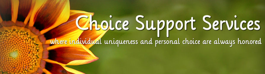 Choice Traumatic Brain Injury Support Services, Inc