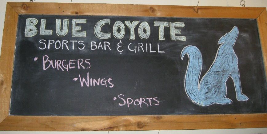 Blue Coyote 1