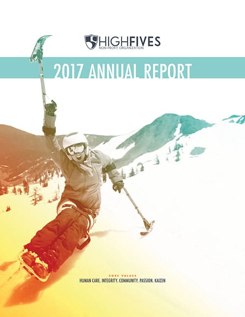2017 annual report cover