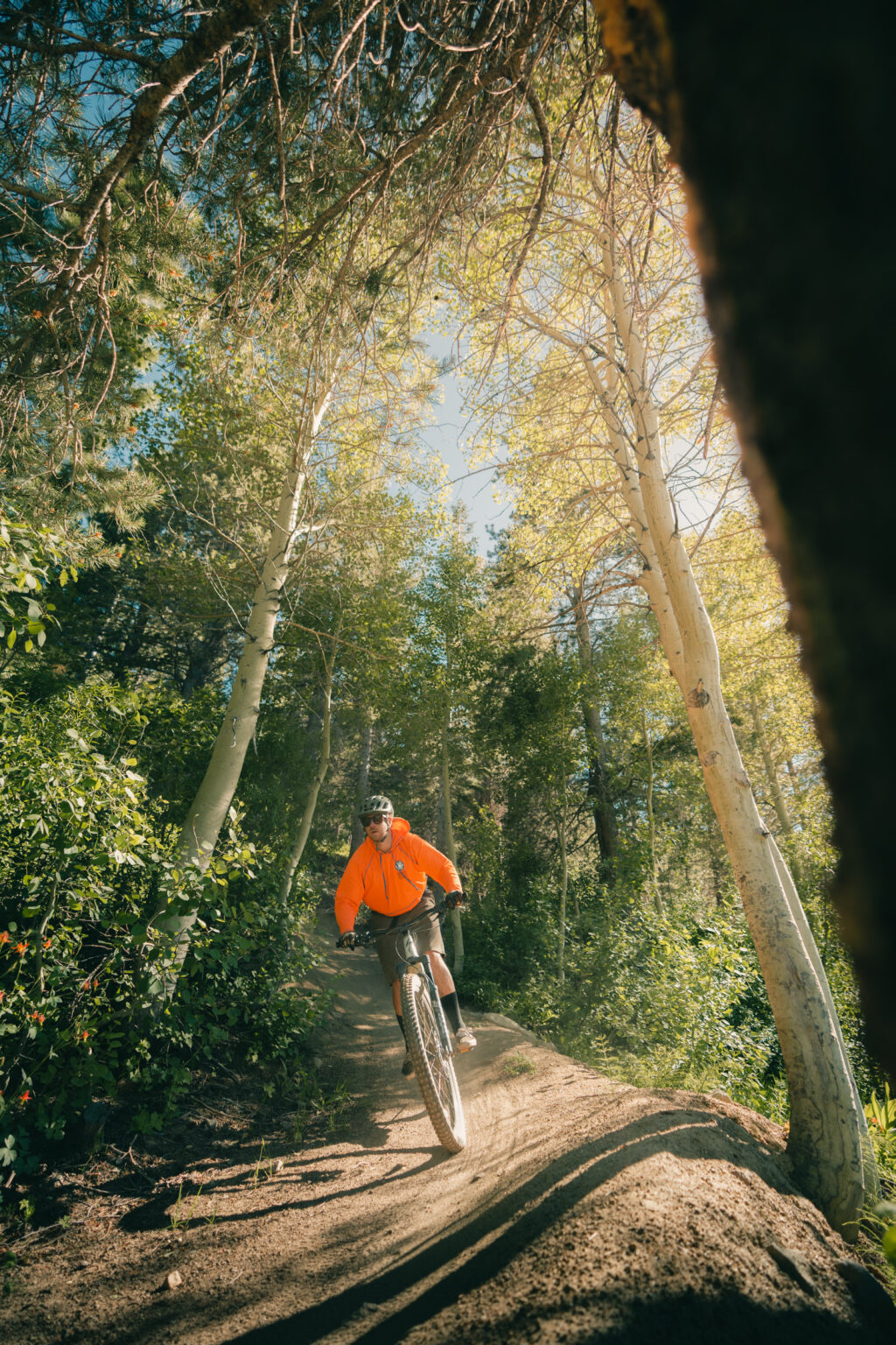 Unveiling The 5 Highlights Of May 2024 High Fives Foundation